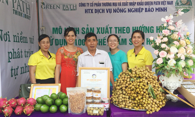 HTX Bảo Minh sức bật kinh tế từ trồng nhãn VietGAP