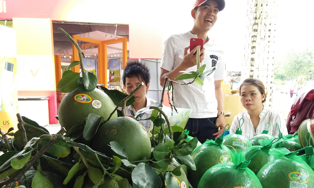 Mở thêm nhiều cơ hội xuất khẩu trái cây tươi