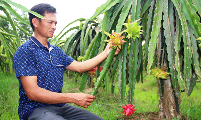 Triệu phú đất mặn