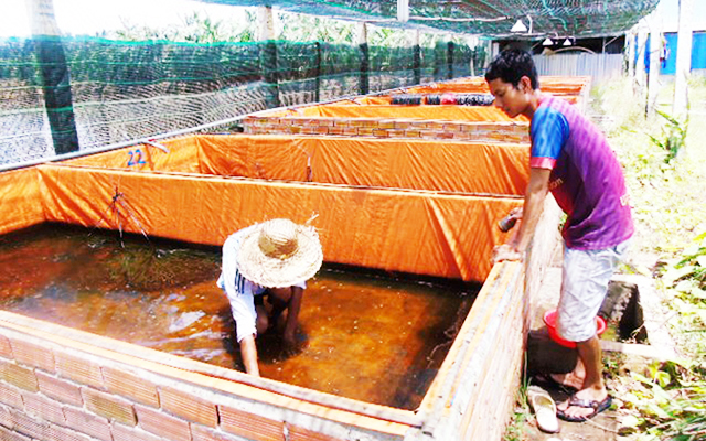 HTX Thuận Thiên: Liên kết sản xuất, xây dựng NTM