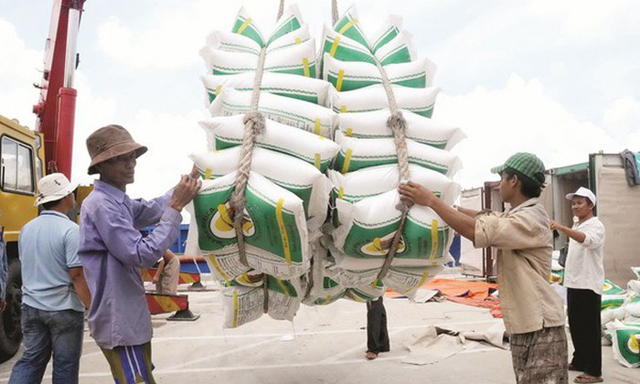 Gạo Việt: Thị trường Trung Quốc không còn 'dễ tính'
