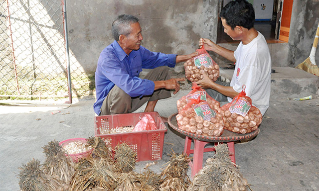 An Thịnh lấy cây màu làm động lực xây dựng nông thôn mới