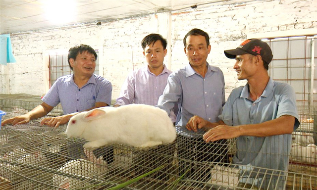 HTX Yến Mao: Lợi ích kép từ chăn nuôi khoa học