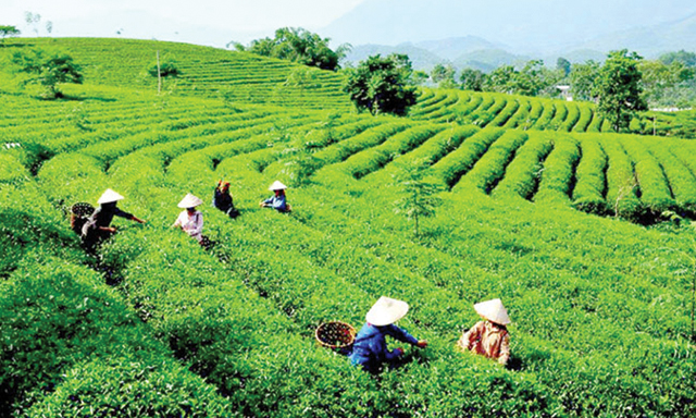 Phương thức đưa nông nghiệp Việt cất cánh