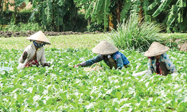 Mỹ Hòa Hưng làm giàu ở xã nông thôn mới