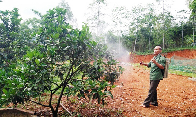 Nông nghiệp sạch nhờ... 'tân dược' tự chế