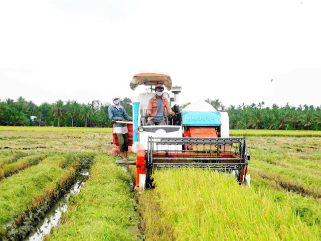 Tân Hòa “chạy nước rút” về đích nông thôn mới