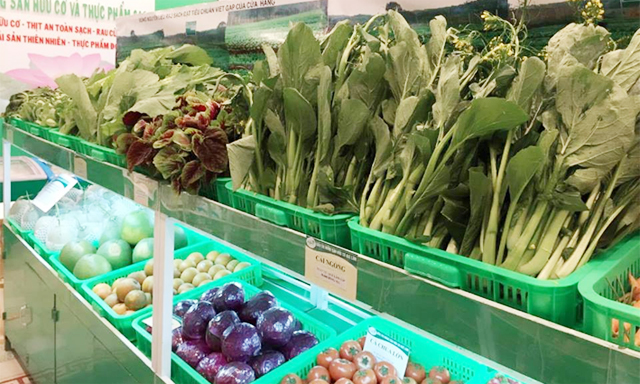 Phát triển thị trường nông sản sạch: Nông nghiệp hữu cơ là cốt lõi