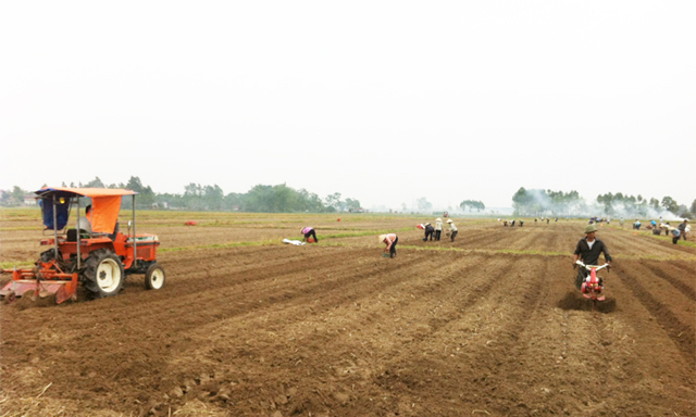 Bắc Ninh: Phát triển kinh tế hợp tác ở Quế Võ
