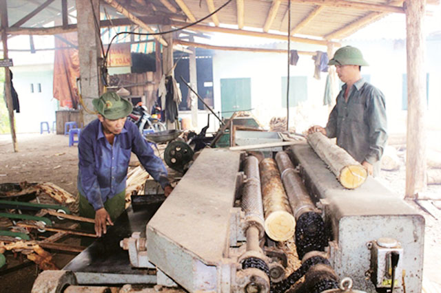 Bước chuyển mạnh mẽ từ các HTX ở Tràng Định