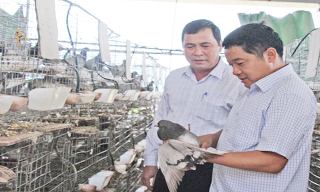 Bắc Giang: HTX là nền tảng vững chắc xây dựng NTM