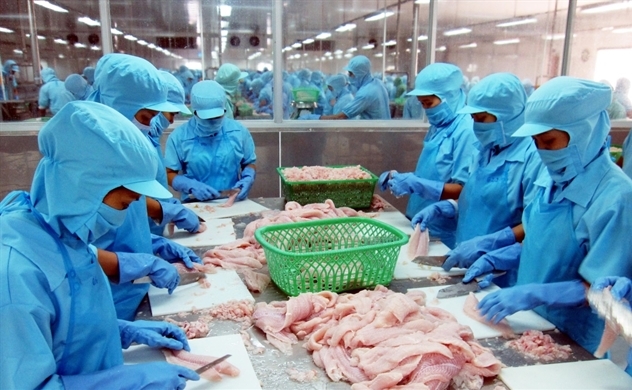 VHC lập đỉnh mới