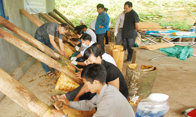 HTX Quế Sơn vươn tầm ở thủ phủ quế