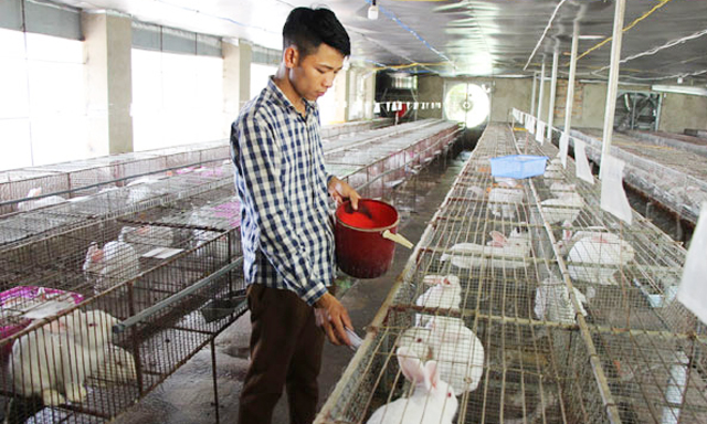 HTX Bắc Sơn bứt lên từ... 'cách mạng' chuồng trại