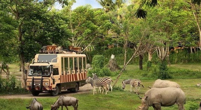 Chấm dứt dự án Vườn thú Safari và Khu Du lịch nghỉ dưỡng Bình Châu