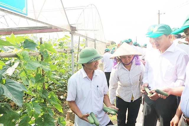 HTX thúc đẩy nông thôn mới ở Yên Khánh