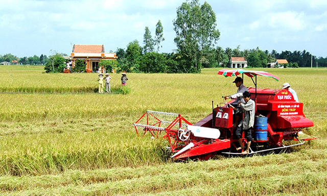 HTX Gò Gòn ngọt hóa những cánh đồng