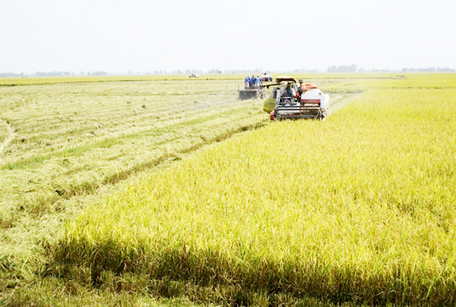 HTX Phú Thạnh đi đầu trong đổi mới, sáng tạo