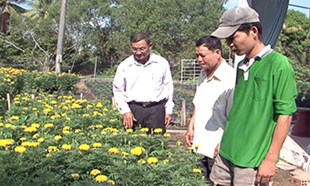 HTX Phó Thọ nâng chất nhờ không ngừng đầu tư