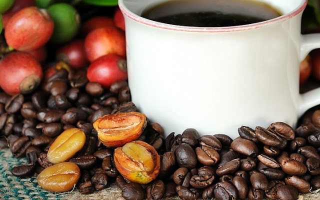 Giá cà phê vượt mốc 37 triệu đồng/tấn