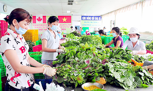 Luật HTX năm 2012: Động lực cho sự phát triển các HTX trong lĩnh vực nông nghiệp