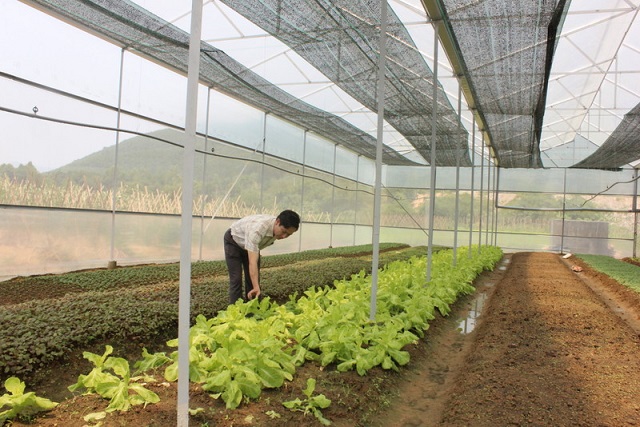 Tổ hợp tác Bình Thuận: Sản xuất thân thiện với môi trường