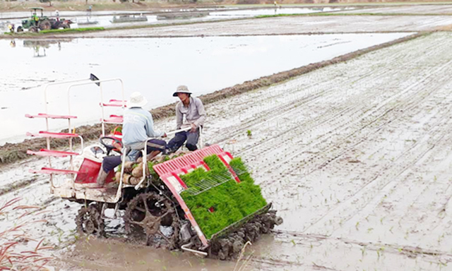 Xây dựng NTM ở Long An: Phát huy vai trò của HTX nông nghiệp