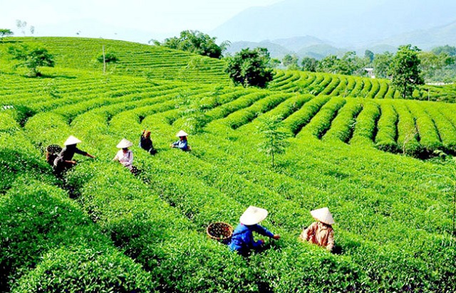 Gắn sản xuất với bảo vệ môi trường