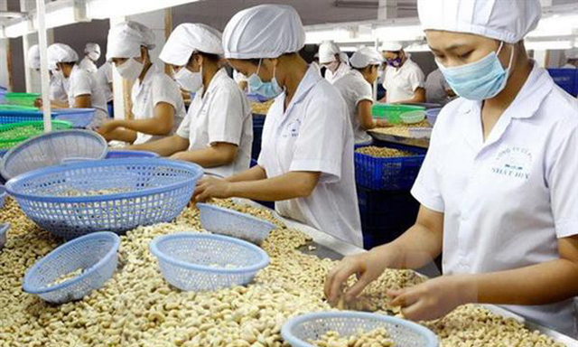 Nông sản xuất khẩu tiếp tục mất giá