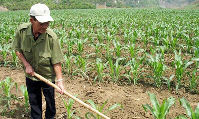 Vườn ươm thương binh triệu phú