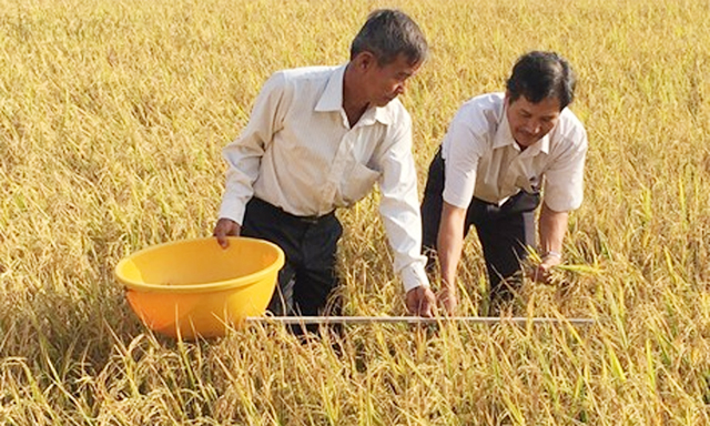 HTX Tân Tiến: Hướng tới nông nghiệp sạch