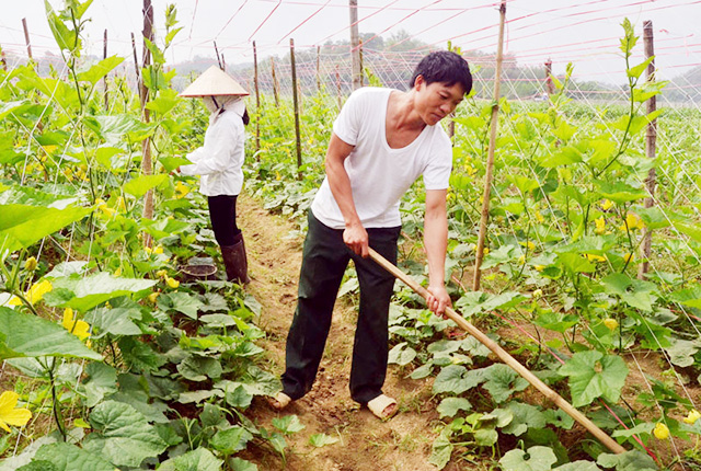 Thanh Thủy nâng cao vai trò HTX nông nghiệp