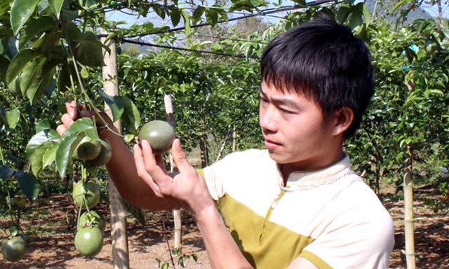 Lạng Sơn phát huy vai trò 'bà đỡ' của HTX