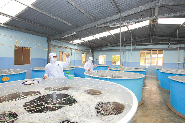 789bet có uy tín không-9842-1540809566.jpg