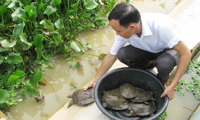 HTX Thạnh Lợi bảo đảm chất lượng và môi trường