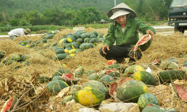 nong-san-JPG-8258-1540854921.jpg
