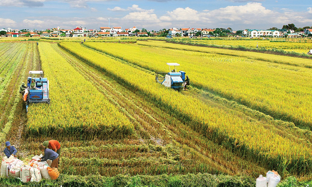 Địa phương thuê đất của dân, cho DN thuê lại