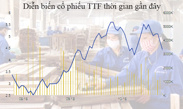 Cổ phiếu TTF gây sốc khi 'ôm' thêm sứ Thiên Thanh