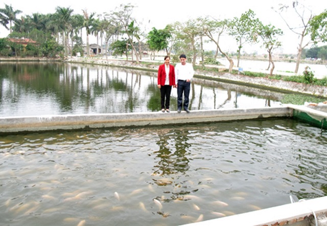 Phát triển vững chắc từ nuôi trồng thủy sản sạch