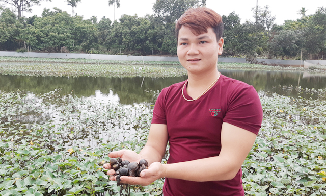 9X khởi nghiệp thành công từ nuôi ốc nhồi