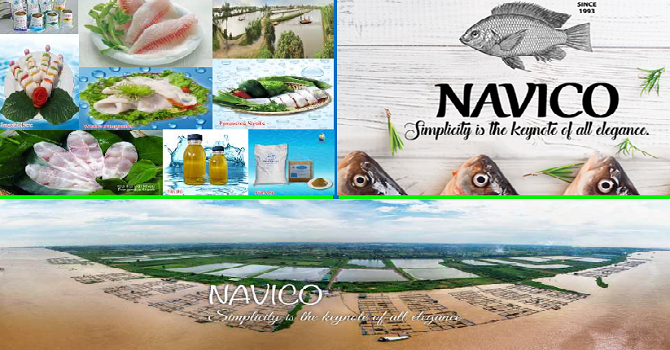 VPBS khuyến nghị mua với ANV
