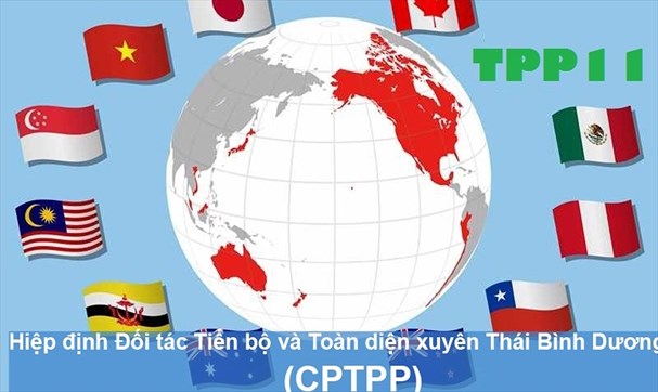 Trình Quốc hội xem xét thông qua CPTPP