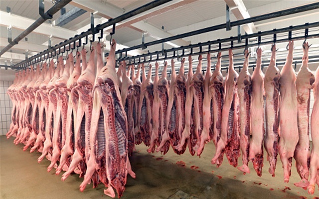 Vận hành Tổ hợp chế biến thịt lợn lớn nhất miền Bắc