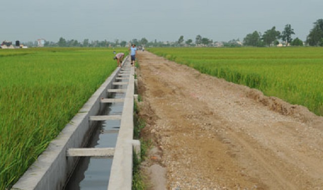 HTX Phương Xuân: Hoạt động hiệu quả, cải thiện môi trường