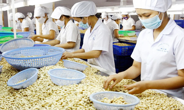 Tìm động lực mới cho chế biến nông sản