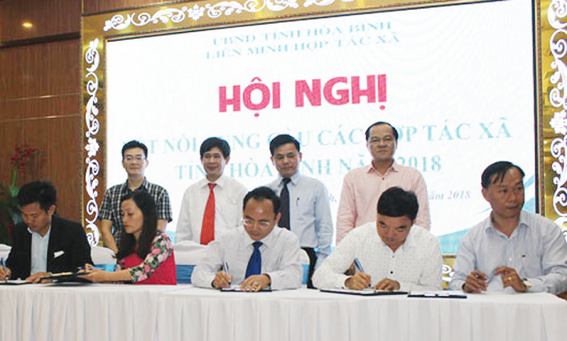 Đẩy mạnh kết nối cung cầu cho các HTX tỉnh Hòa Bình