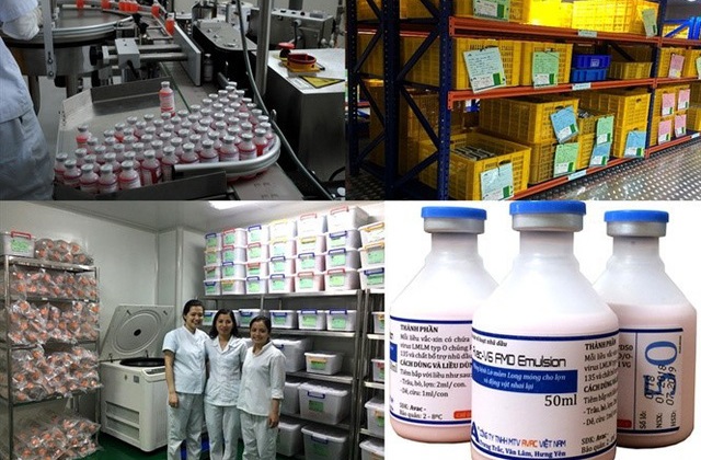 Việt Nam sản xuất thành công vắc xin lở mồm long móng