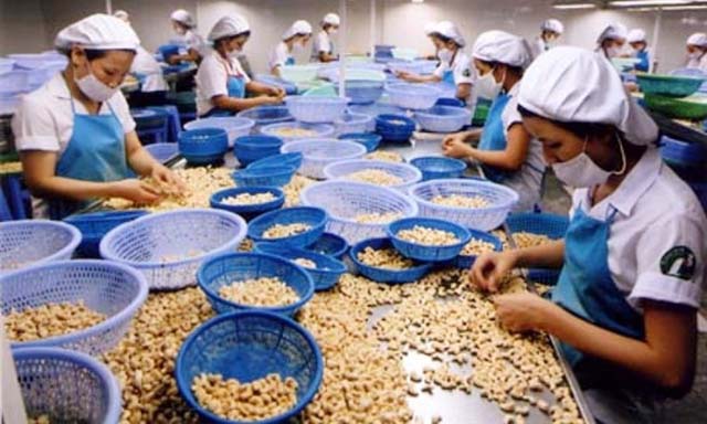 Ăn đong nguyên liệu, chế biến nông sản ì ạch