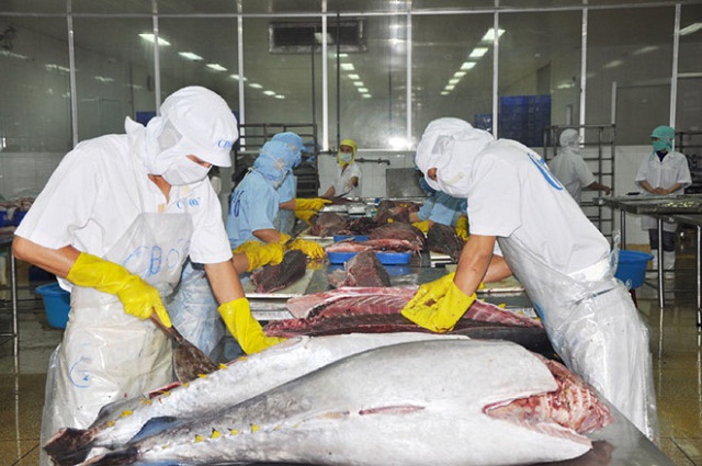 Giải tỏa ách tắc nhập khẩu nguyên liệu thủy sản