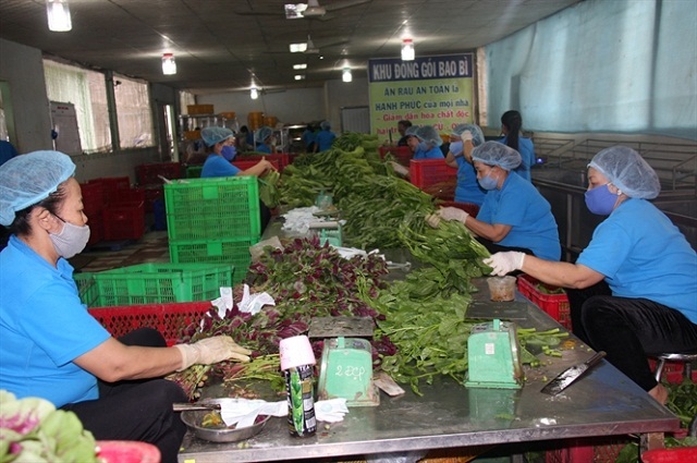 Giảm áp lực môi trường nhờ sơ chế nông sản
